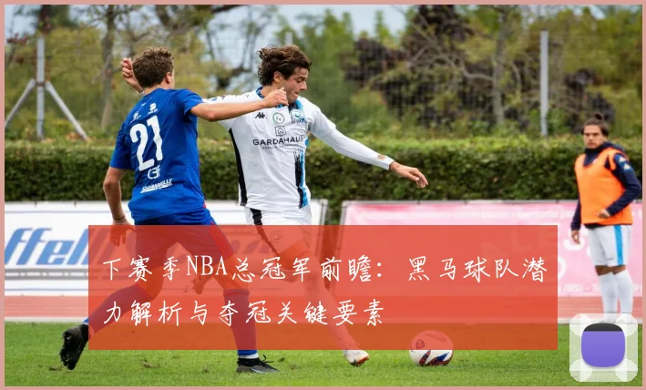 下赛季NBA总冠军前瞻:黑马球队潜力解析与夺冠关键要素