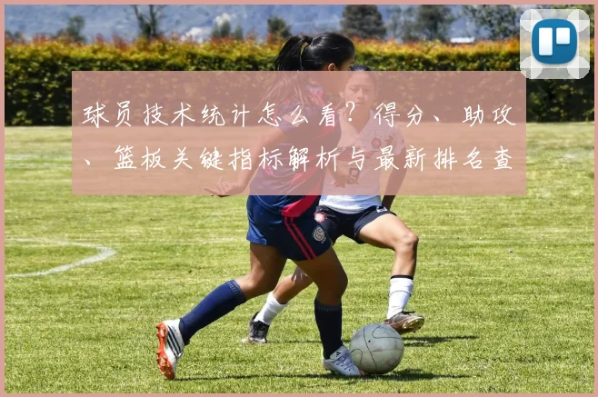 球员技术统计怎么看?得分、助攻、篮板关键指标解析与最新排名查询指南